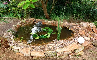 Teich mit Steinumrandung